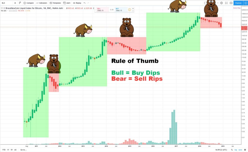 crypto bear vs bull explained